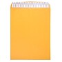 JAM Paper 11.5 x 14.5 Kraft Open End Catalog Envelopes with Peel and Seal Closure, Brown Kraft Manila, Bulk 500/Box (13034235c)~#|#~sp20131854_sc7