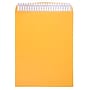 JAM Paper Peel & Seal Kraft Open End #15 1/2 Catalog Envelope, 12" x 15 1/2", Brown, 500/Pack (13034236C)~#|#~sp20131886_sc7