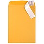 JAM Paper Peel & Seal Kraft Open End Catalog Envelope, 9" x 12", Brown, 500/Pack (13034231C)~#|#~sp20131895_sc7