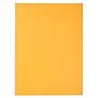 JAM Paper Peel & Seal Kraft Open End Catalog Envelope, 9" x 12", Brown, 500/Pack (13034231C)~#|#~sp20131896_sc7