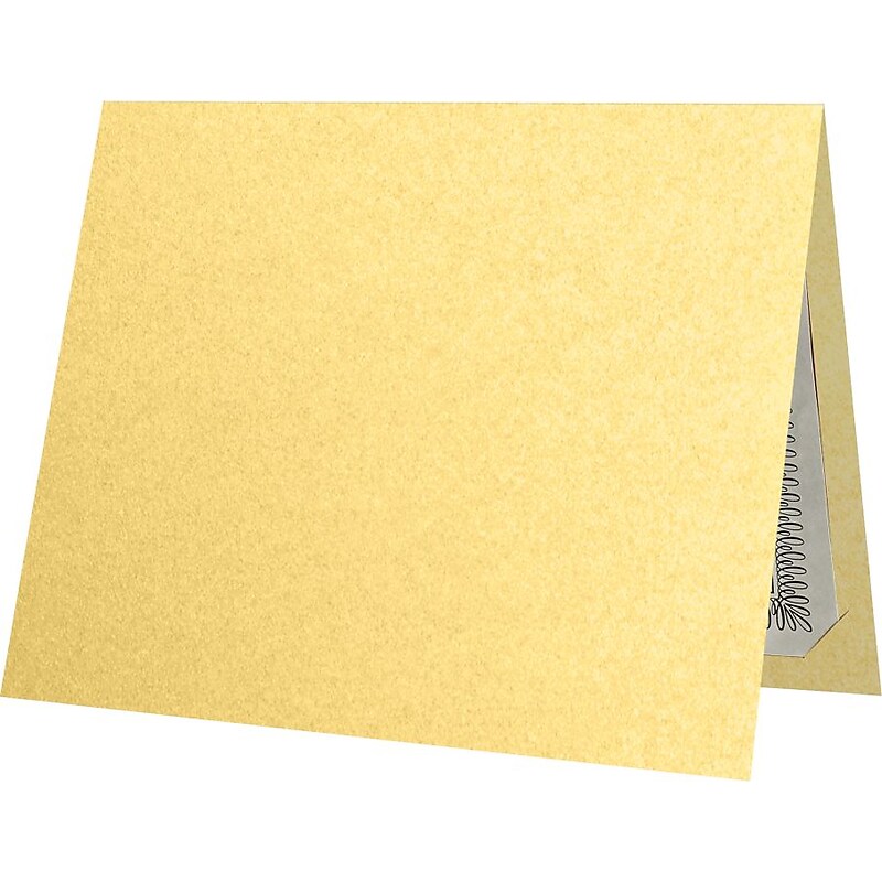 LUX Certificate Holders, 9 1/2" x 11", Gold Metallic, 50/Pack (CH91212-M07-50) image 1