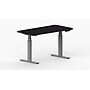 LifeFlo Ergonomics Height Adjustable Desk, 36" W x 24" D x 1 1/8" Thick, Black (LFO-3624-E2-BK)~#|#~sp20168323_sc7
