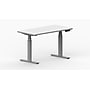 LifeFlo Ergonomics Height Adjustable Desk, 48" W x 24" D x 1 1/8" Thick, White (LFO-4824-E2-WH)~#|#~sp20168330_sc7