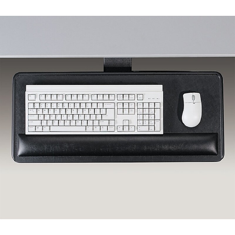 Ergonomic Concepts Articulating Keyboard Platform Economy Mechanism Adjustable Tray, Black (ECI-910-SPL) image 1