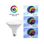 Viribright 15-Watts Daylight LED Floodlight Bulb, 4/Box (654659-4)~#|#~sp204624139_sc7