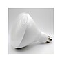 Viribright 16-Watts Cool White LED Floodlight Bulb, 8/Box (654655-8)~#|#~sp204624186_sc7
