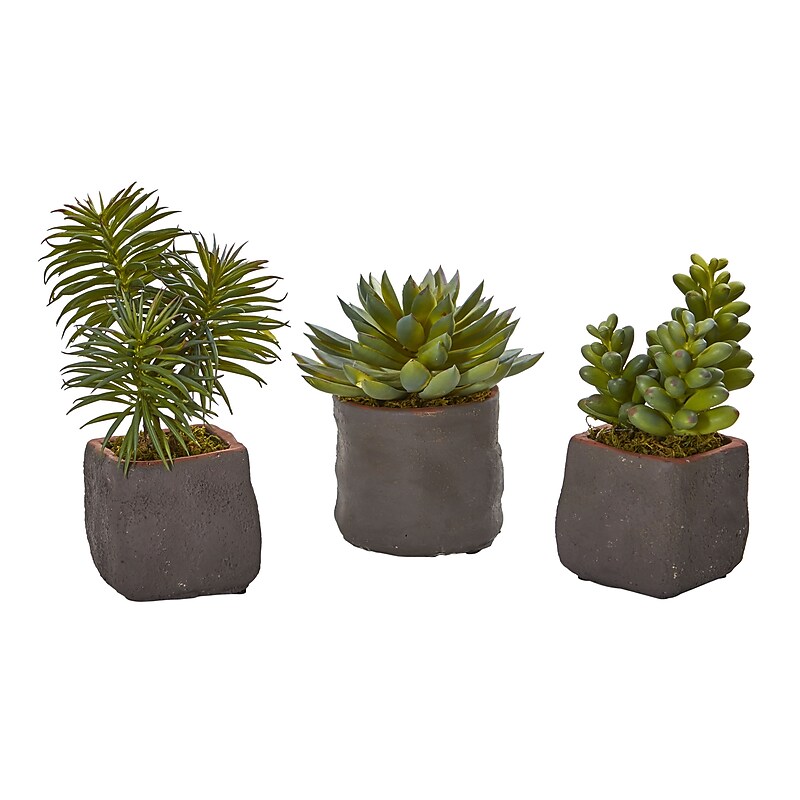 Nearly Natural Mixed Succulent Trio Artificial Plant (Set of 3) (4232-S3) image 1