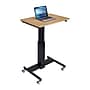 Rocelco 28"W Adjustable Mobile School Standing Desk, Wood Grain (R MSD-28)~#|#~sp206052511_sc7