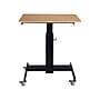 Rocelco 28"W Adjustable Mobile School Standing Desk, Wood Grain (R MSD-28)~#|#~sp206052515_sc7