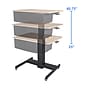 Rocelco 28"W Adjustable Mobile School Standing Desk with Book Box, Wood Grain (R MSD-28-BB)~#|#~sp206052521_sc7