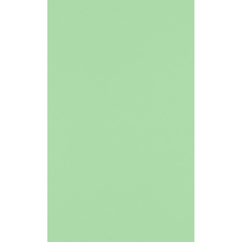 JAM Paper 11" x 17" Multipurpose Paper, 60 lbs., Pastel Green, 50/Pack (1117-P-67-50) image 1