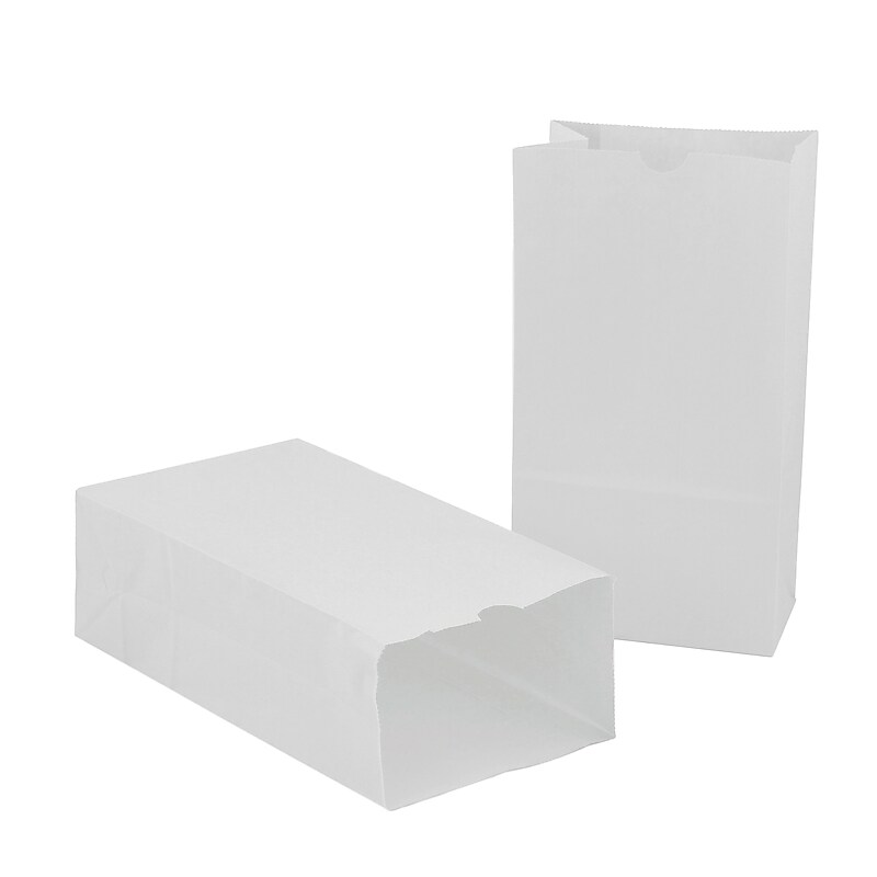 Hygloss Large Gusseted Paper Bags, 6" x 3.5" x 11", White, 100 Per Pack, 2 Packs (HYG66101-2) image 1