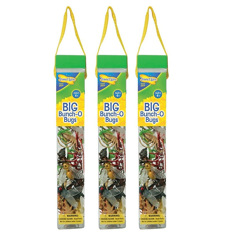 Insect Lore Big Bunch O' Bugs, 18 Per Set, 3 Sets (ILP4840-3) image 1