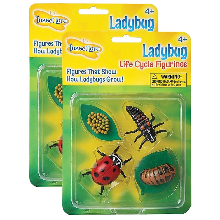 Insect Lore – Recharge De Chenilles Vivantes Belle-Dame – 3 à 5 Chenilles – Avec Nourriture Et Support – Cycle De Vie Des Papillons