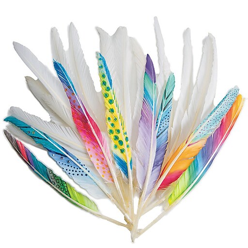 セール！ Feather and Brush：オーストラリア鳥類芸術300年 Safari Ltd. Archaeopteryx #302829 - Dazzling sheen on back