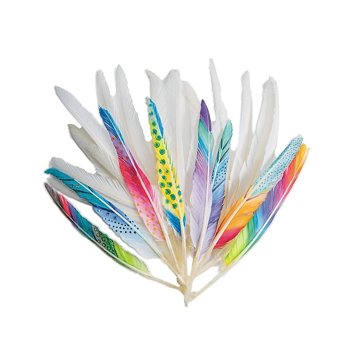 S&S Worldwide Long Quill Feathers White (TR285) | Staples