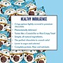Undercover Snacks Dark Chocolate Sea Salt Crisps, 31.25 oz., 125 Bags/Pack (307-00382)~#|#~sp212033014_sc7