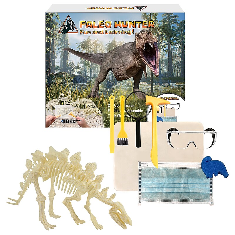 Hamilton Buhl Paleo Hunter Stegosaurus Dig Kit  (HECPHSTS) image 1