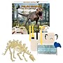 Hamilton Buhl Paleo Hunter Stegosaurus Dig Kit  (HECPHSTS)~#|#~sp215022813_sc7