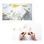 Hamilton Buhl Paleo Hunter Stegosaurus Dig Kit  (HECPHSTS)~#|#~sp215022844_sc7