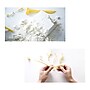Hamilton Buhl Paleo Hunter Tyrannosaurus Rex Dig Kit (HECPHTRX)~#|#~sp215022897_sc7