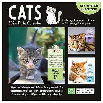 2024 TF Publishing 5.25" x 5.25" Cat A Day Daily Desktop Calendar (24-3002)