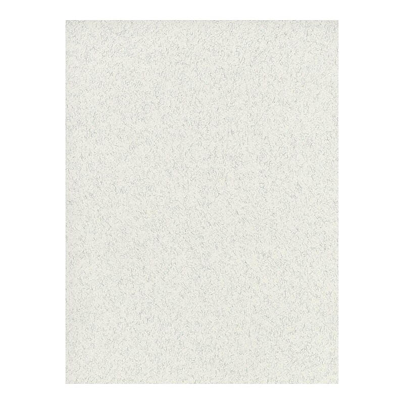 Fabriano Tiziano Drawing Paper felt light gray [Pack of 10](PK10-71-33032) image 1