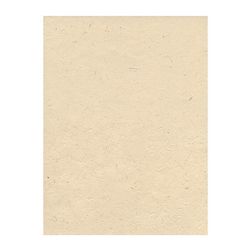 Graeham Owens Lokta Paper natural 20 in. x 30 in. 20 g [Pack of 10](PK10-GO-LTNAT) image 1