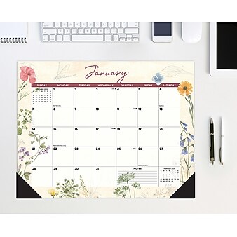 2024 Willow Creek Press Botanical Garden 22" x 17" Large Monthly Deskpad Calendar (38741)