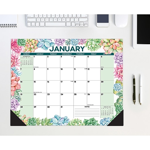 2024 Willow Creek Press Succulent 22" x 17" Large Monthly Deskpad