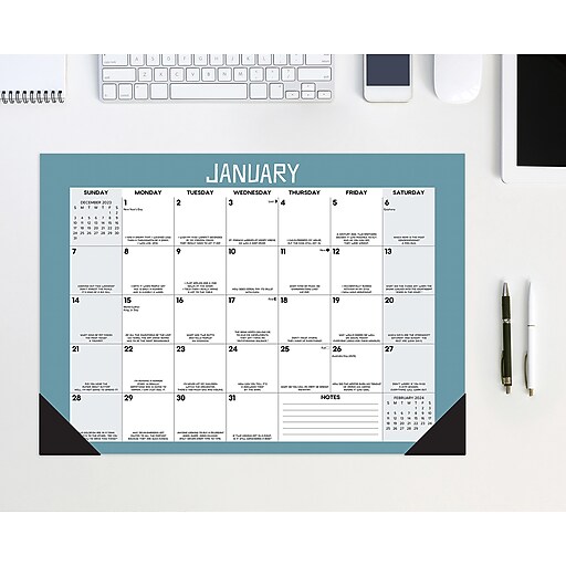 2024 Willow Creek Bad Dad Jokes 12" x 17" Monthly Desk or Wall Calendar,  Multicolor (40409) | Staples