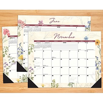 2024 Willow Creek Press Botanical Garden 22" x 17" Large Monthly Deskpad Calendar (38741)