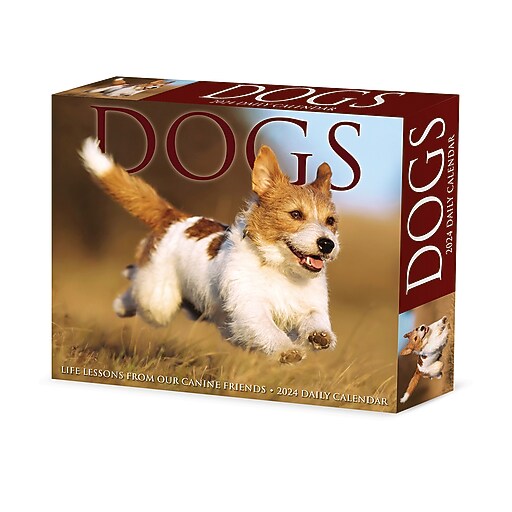 2024 Willow Creek Press Daily Dogs and Puppies Box Calendar Daily Desk