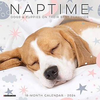 2024 Willow Creek Naptime Dogs and Puppies 7" x 7" Monthly Wall Calendar, Multicolor (36860)