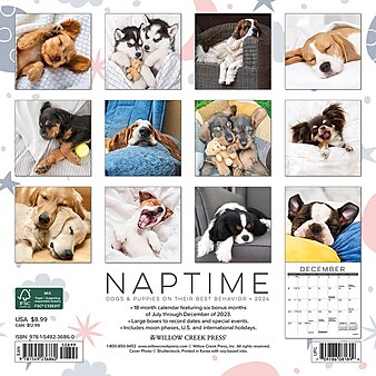2024 Willow Creek Naptime Dogs and Puppies 7" x 7" Monthly Wall Calendar, Multicolor (36860)