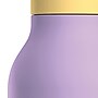 ASOBU Urban Insulated Double-Walled Bottle, 16 oz., Pastel Purple (SBV24)~#|#~sp218084277_sc7