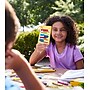 Carson-Dellosa Learning Kit Literacy Student Bundle, Grade 3, 4/Pack (145316)~#|#~sp218084480_sc7