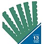 Carson-Dellosa Grow Together Jade Green Scalloped Bulletin Board Borders (108489)~#|#~sp218148785_sc7