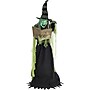 Haunted Hill Farm 6' Tall Motion-Activated Enchantress Witch (HHENWITCH-5FLSA)~#|#~sp218922089_sc7