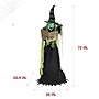 Haunted Hill Farm 6' Tall Motion-Activated Enchantress Witch (HHENWITCH-5FLSA)~#|#~sp218922091_sc7