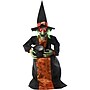 Haunted Hill Farm Animatronic Sitting, Talking Witch (HHWITCH-40FLSA)~#|#~sp218922627_sc7