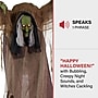 Haunted Hill Farm Animatronic Talking Hunchback Witch (HHWITCH-41FLSA)~#|#~sp218922642_sc7