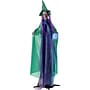 Haunted Hill Farm Animatronic Talking Fortune Teller Witch with Crystal Ball (HHWITCH-42FLSA)~#|#~sp218922653_sc7