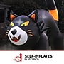 Haunted Hill Farm 10' Tall Pre-lit Black Cat Inflatable (HIBCAT103-L)~#|#~sp218923232_sc7