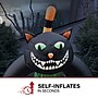 Haunted Hill Farm 10' Tall Pre-lit Black Cat Arch Inflatable (HIBCATARCH101-L)~#|#~sp218923244_sc7