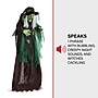 Haunted Hill Farm Animatronic Talking Forest Witch (HHWITCH-44FLSA)~#|#~sp218924151_sc7
