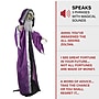 Haunted Hill Farm Animatronic Talking Wizard & Crystal Ball (HHWIZARD-1FLSA)~#|#~sp218924278_sc7