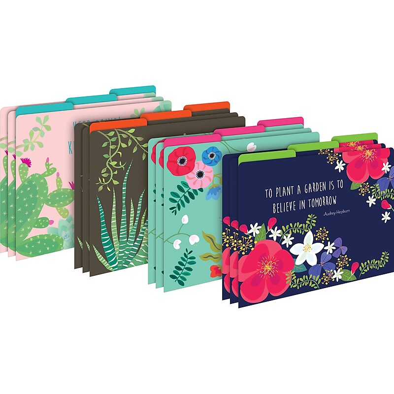 Barker Creek Petals & Prickles File Folder, 1/3-Cut Tab, Letter Size, Assorted Colors, 12/Pack (2000) image 1
