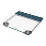 Taylor Precision Products TAP5283752 Digital Scale, Clear, 440lbs. Capacity~#|#~sp223034980_sc7
