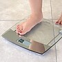 Taylor Precision Products TAP75244192 Digital Scale, Clear, 440lbs. Capacity~#|#~sp223034990_sc7